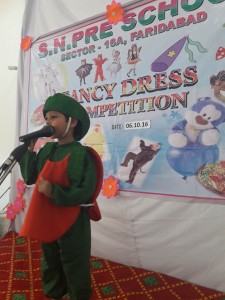 Fancy Dress Competition held in Sant Nirankari Pre School on 6 october 2016 (15)